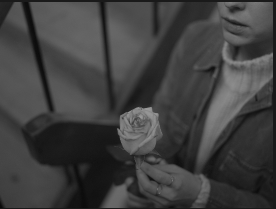 Screen Shot 2024-10-27 at 9.36.59 PM.png