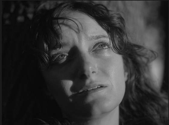 Screen Shot 2024-10-27 at 9.44.22 PM.png