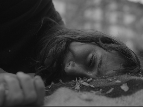 Screen Shot 2024-10-27 at 9.51.22 PM.png