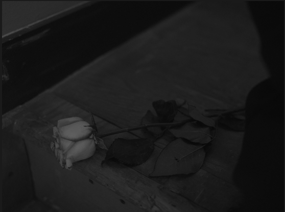 Screen Shot 2024-10-27 at 9.41.24 PM.png