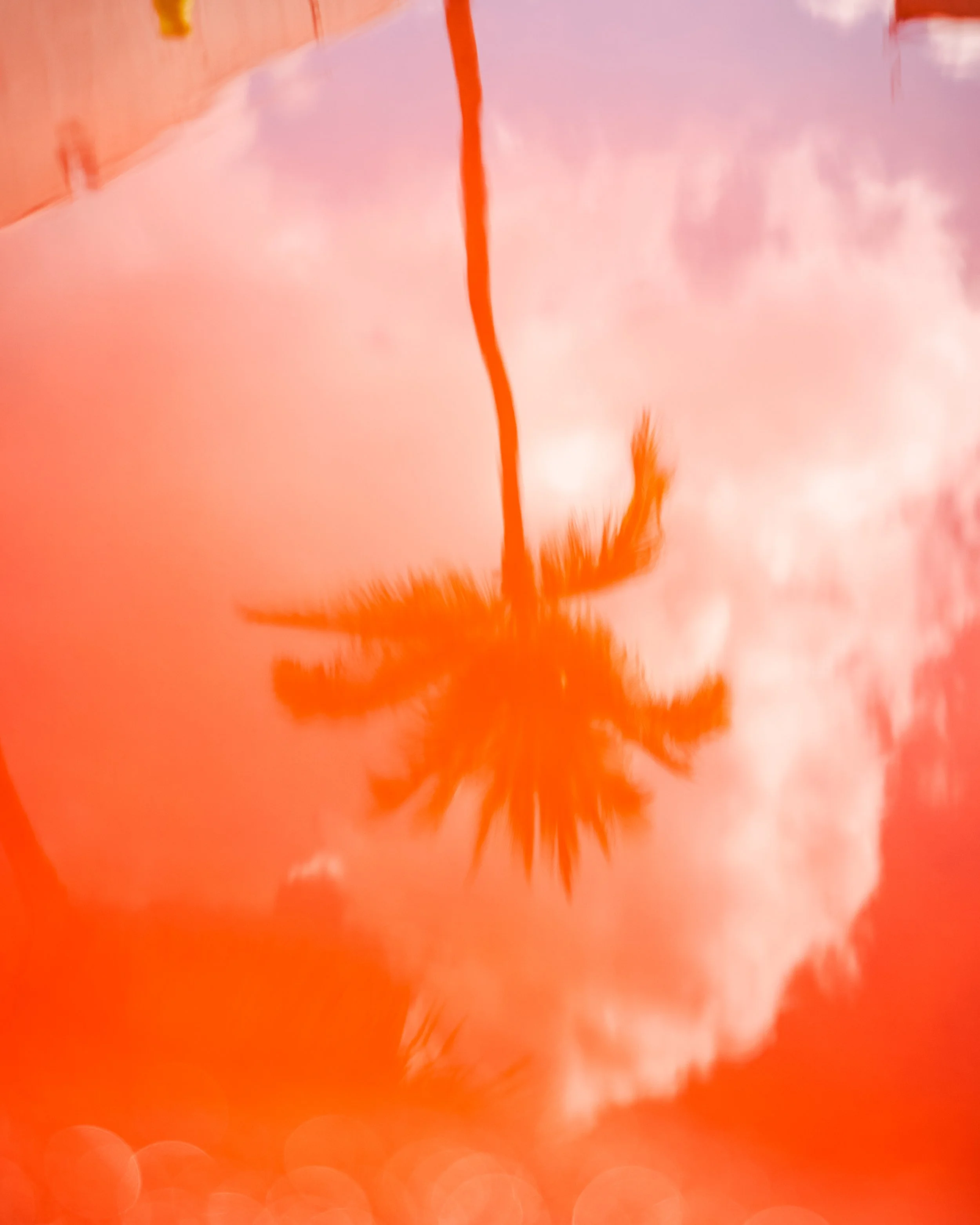 TF_EC_108989.jpg
