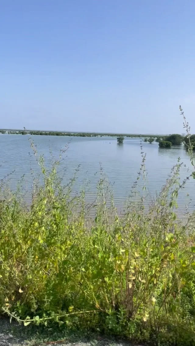 We were at Thionck Essyl village to distribute 400 school kits to students to support education.
#mansaworks #Supplyingsucceess