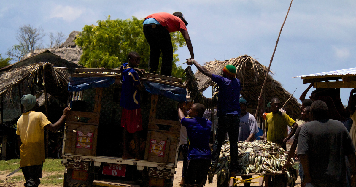 Crisis and Hope in the Democratic Republic of Congo: A Nation at the Crossroads