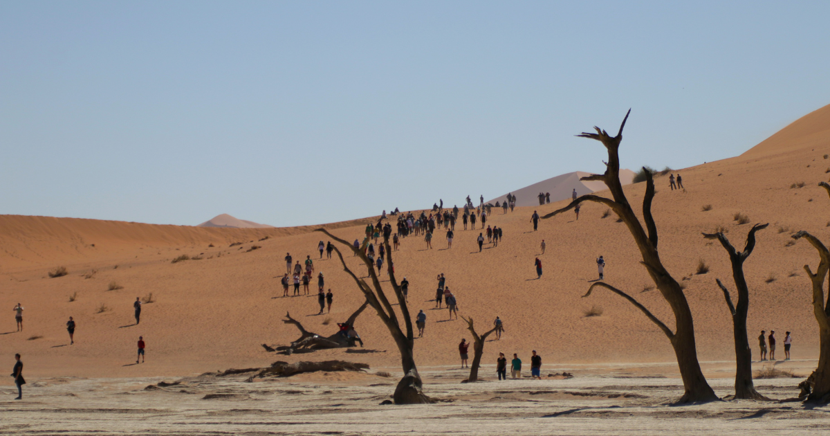 The New Scramble for Africa: How Europe Is Militarizing Migration