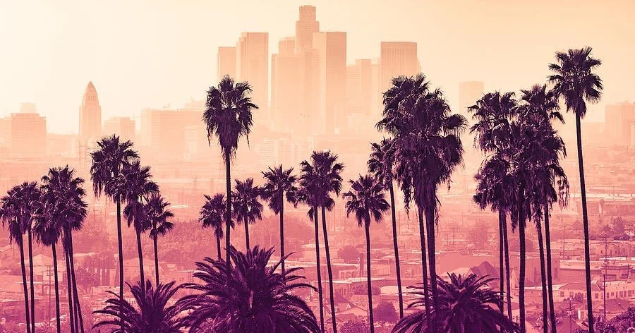 Los Angeles Black and Brown Forum