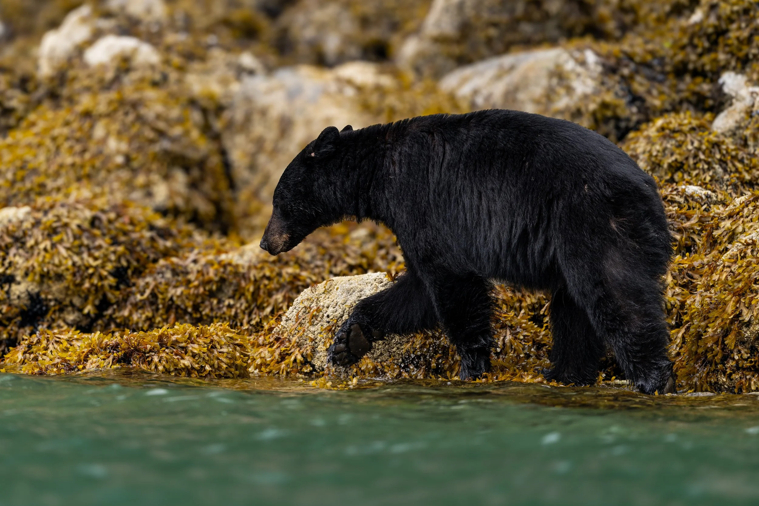 Breakwater_TylerCave_00132.jpg