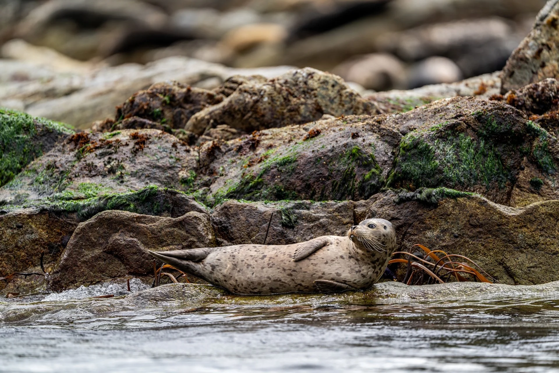 Breakwater_TylerCave_00238.jpg