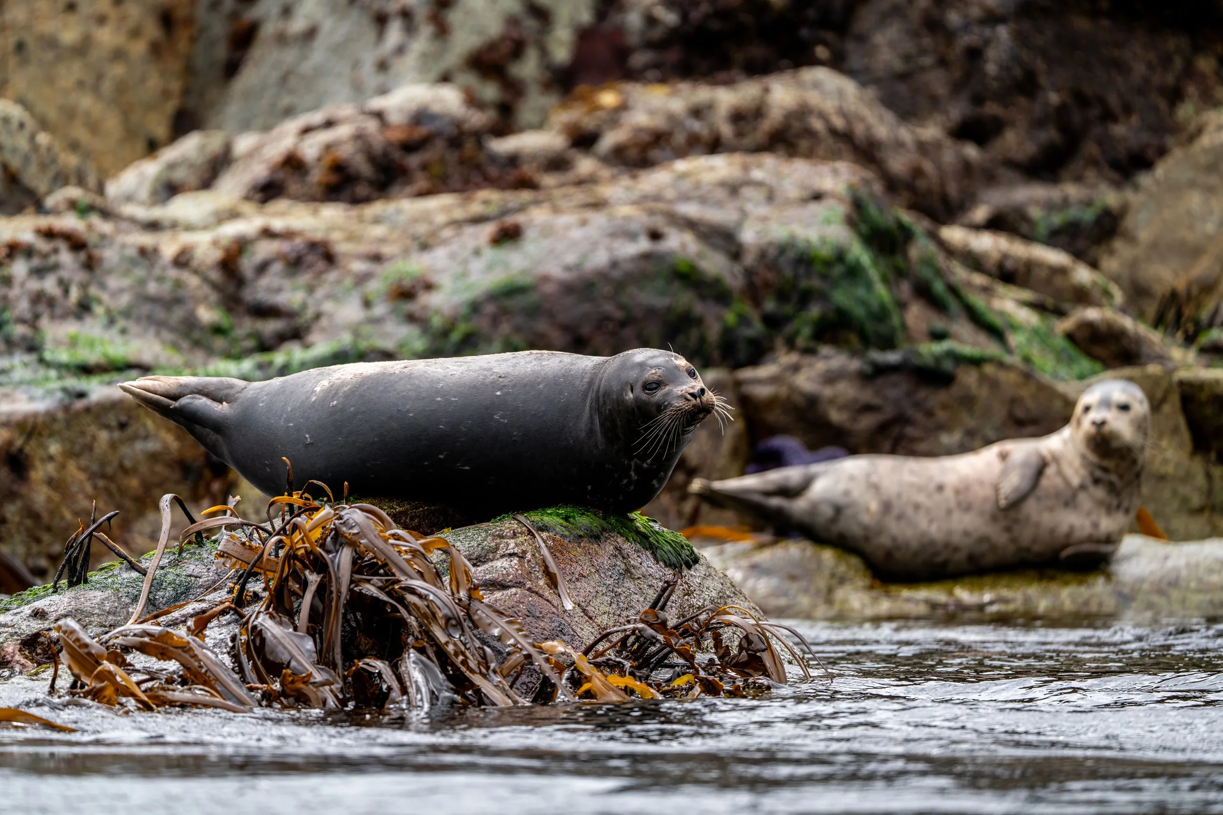 Breakwater_TylerCave_00237.jpg