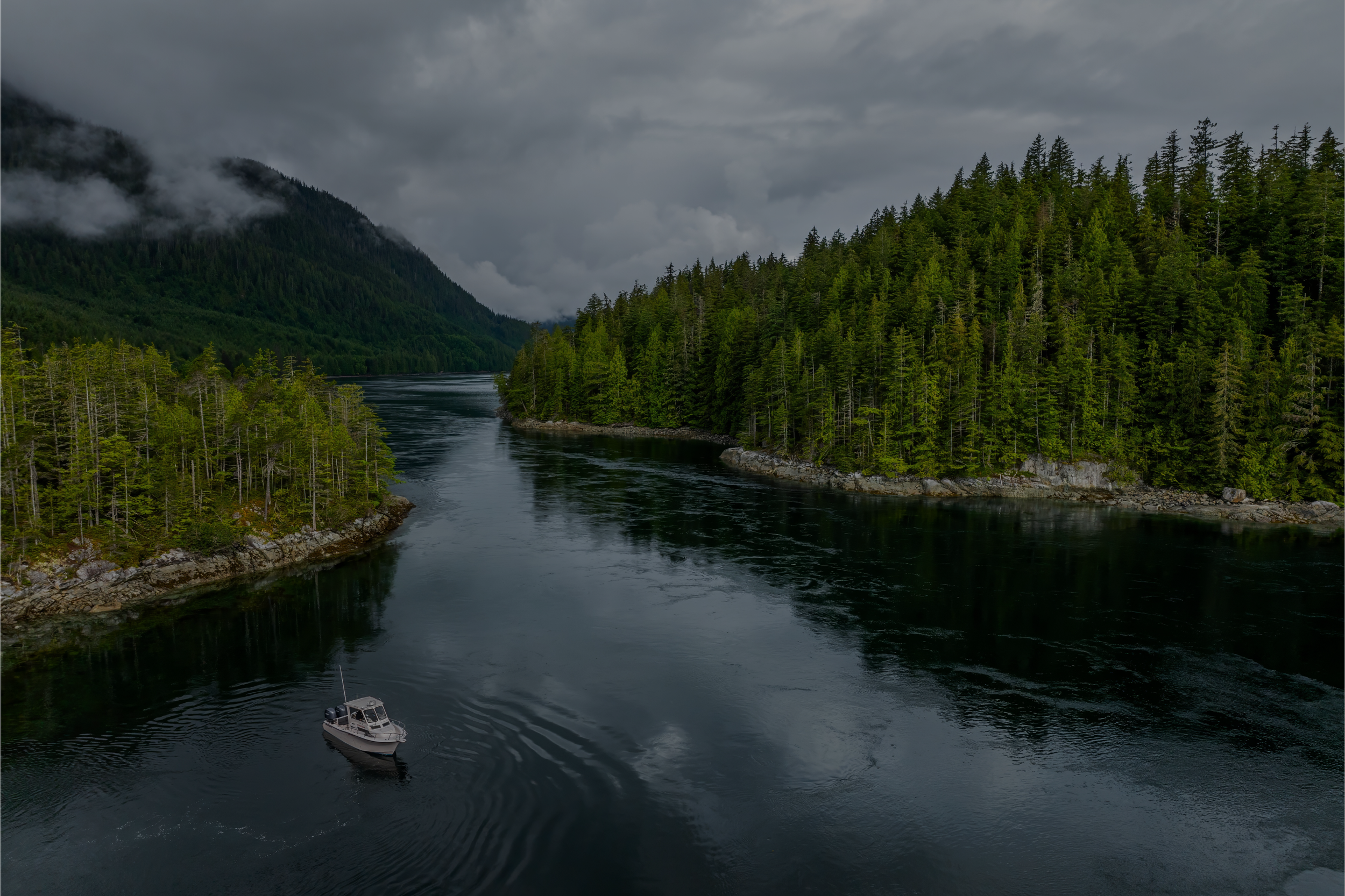 Why Pacific Salmon Matter: Conservation, Community and the Wild Coast Around Sonora Island