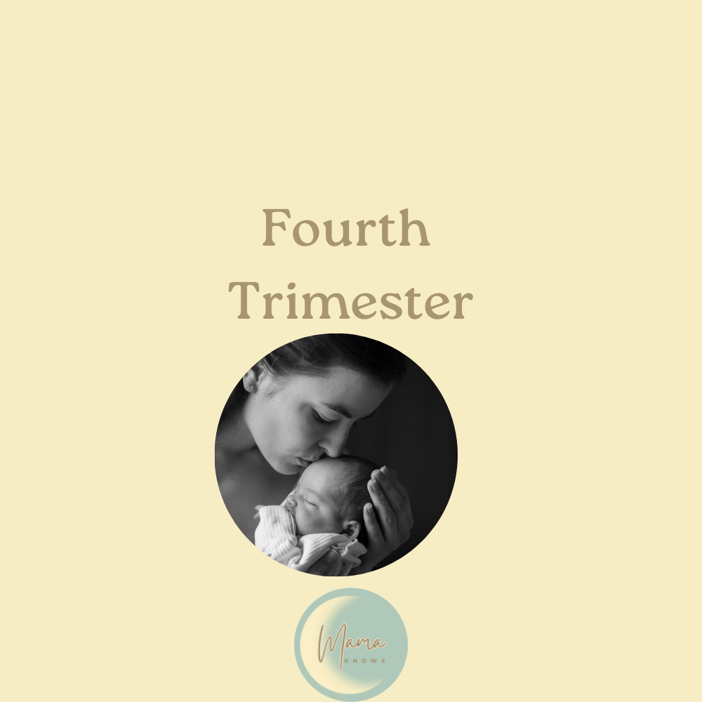 Fourth Trimester Preparation Course