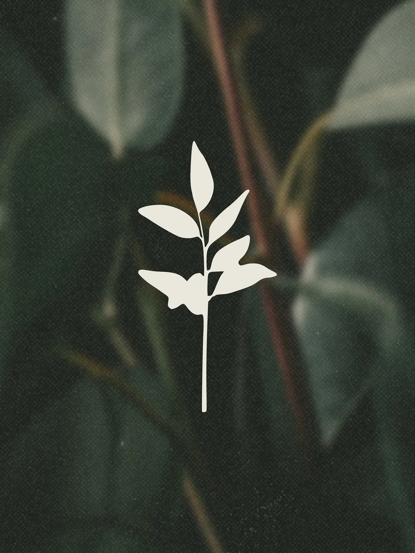 Built for real connections ○ 

Bringing Maggie&rsquo;s vision to life &rarr; quality care that gets rural life.

Rural Living Psychology 🌿

brand strategy | web | copy | image

&bull;

#creativestudio #clarevalley #clarevalleysa #midnorthsouthaustra