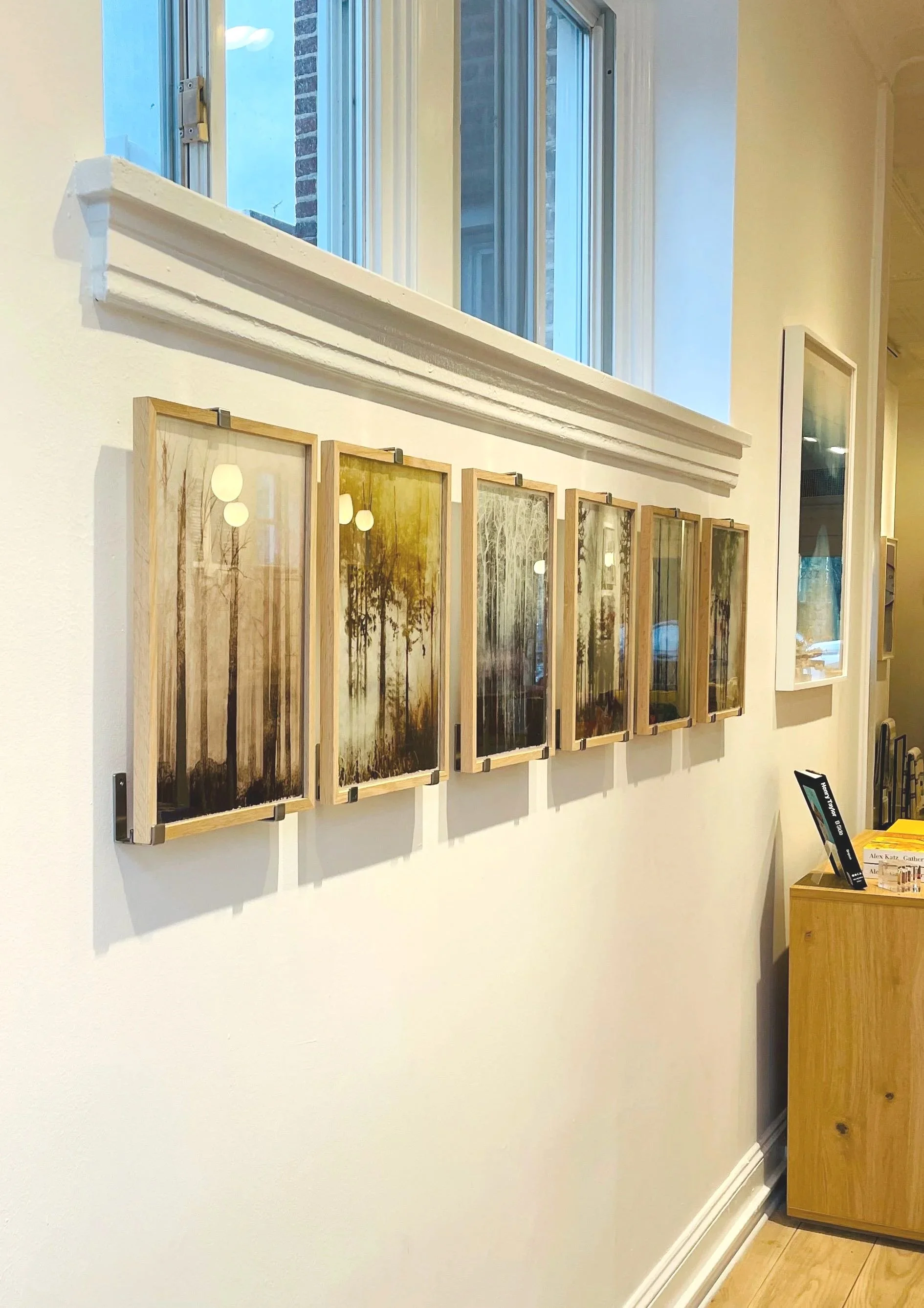 Helena Palazzi