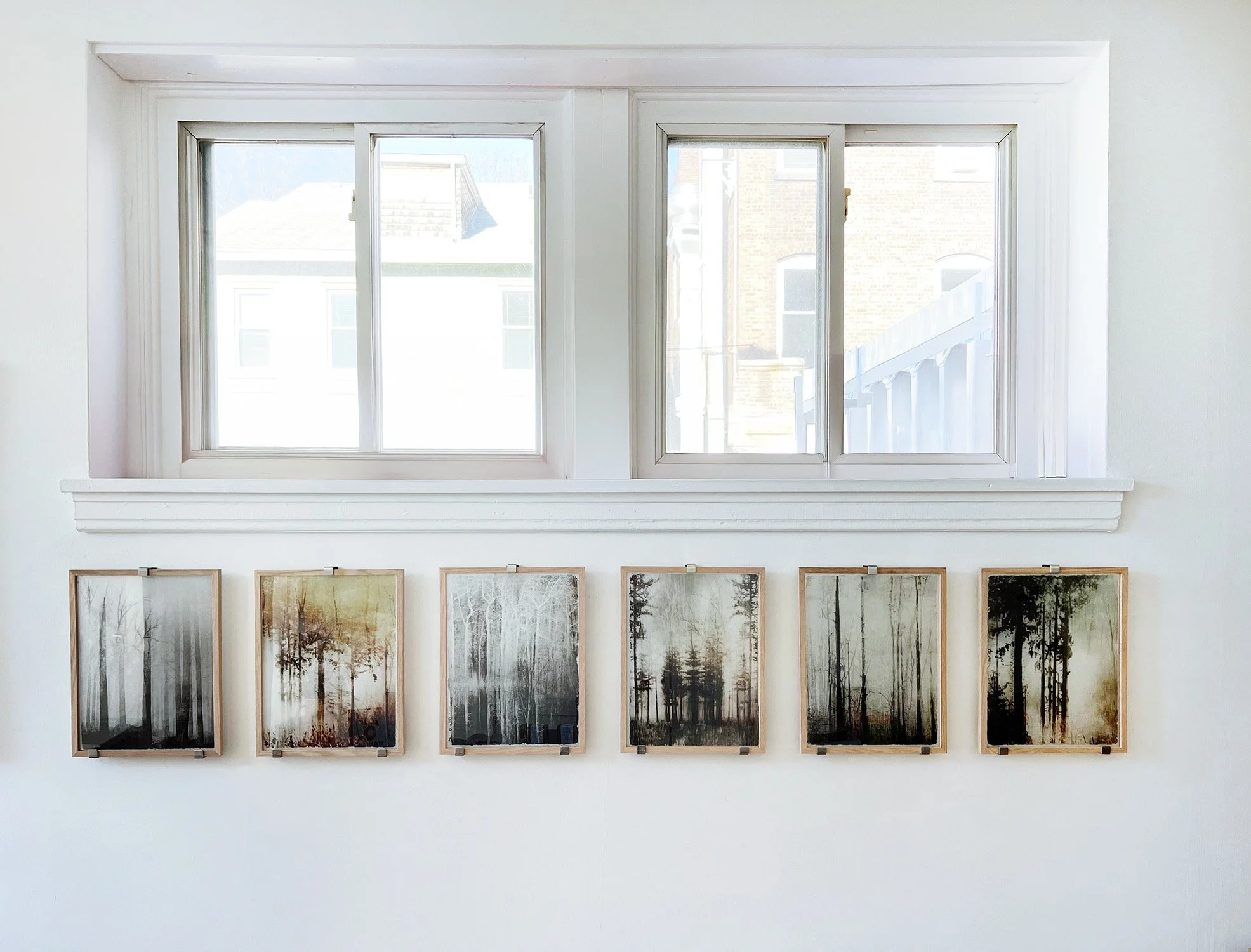 Artist Exhibitions