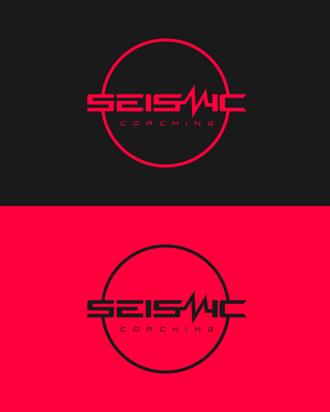 Secondary logo variants.png