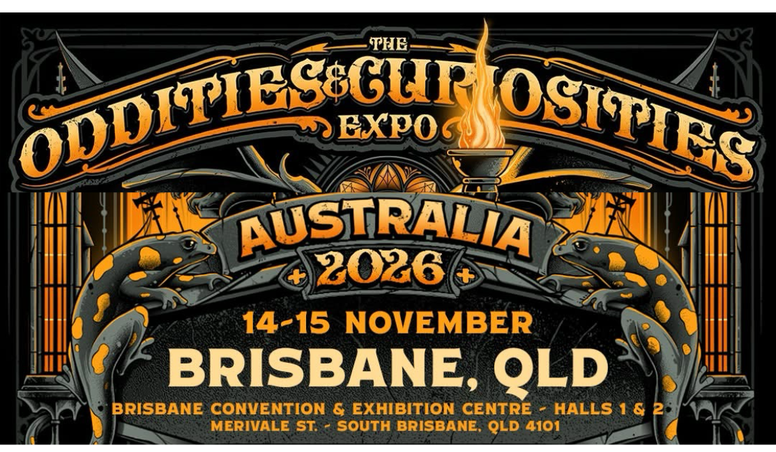 ODDITIES &amp; CURIOSITIES - BRISBANE 