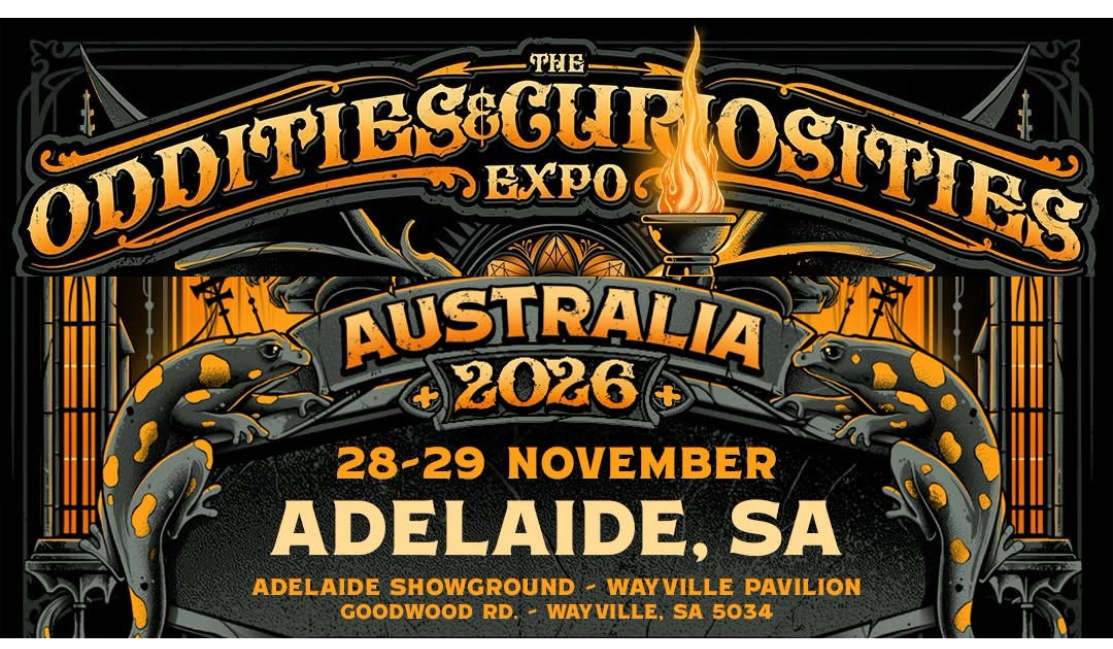 ODDITIES &amp; CURIOSITIES - ADELAIDE