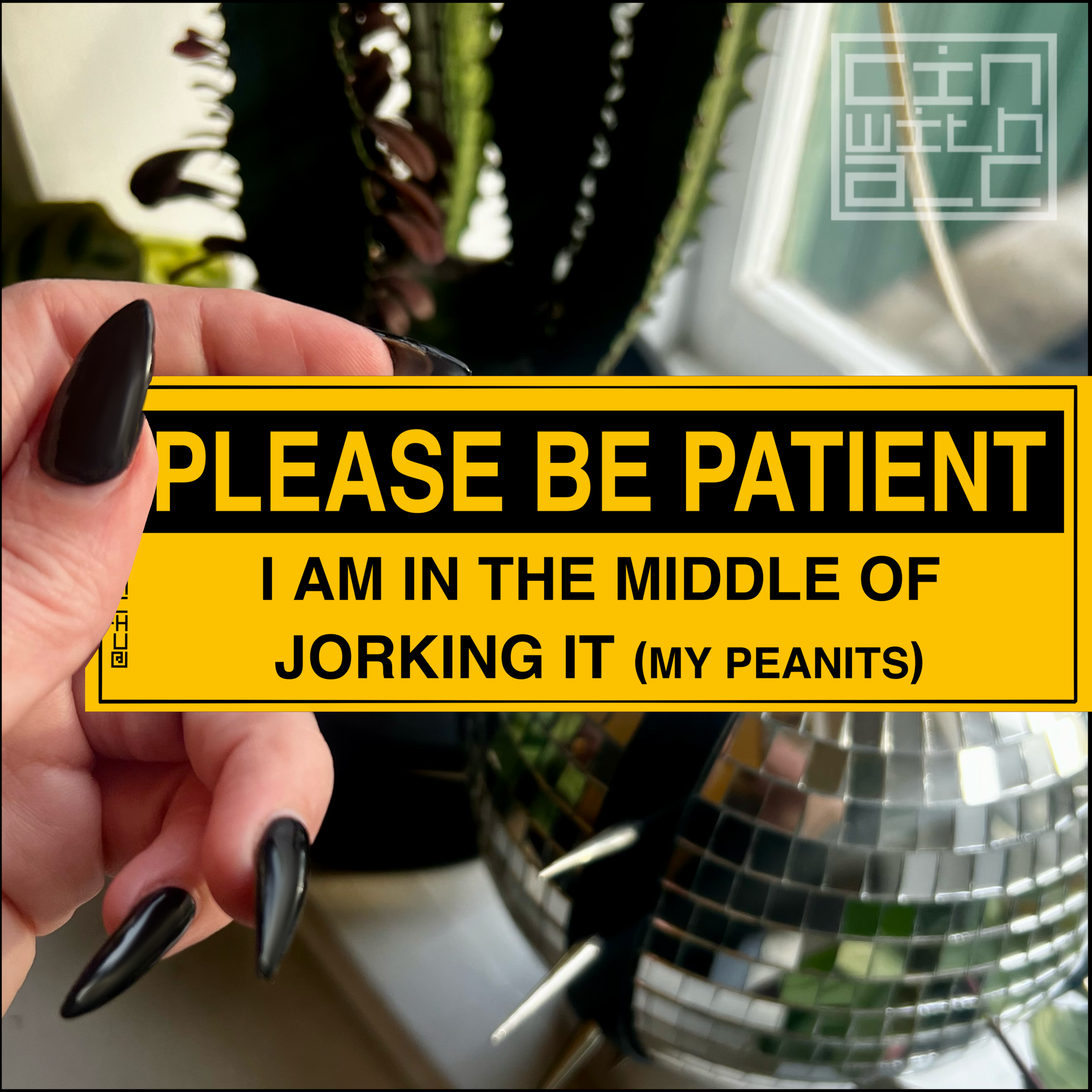 IMG_2408.PNG