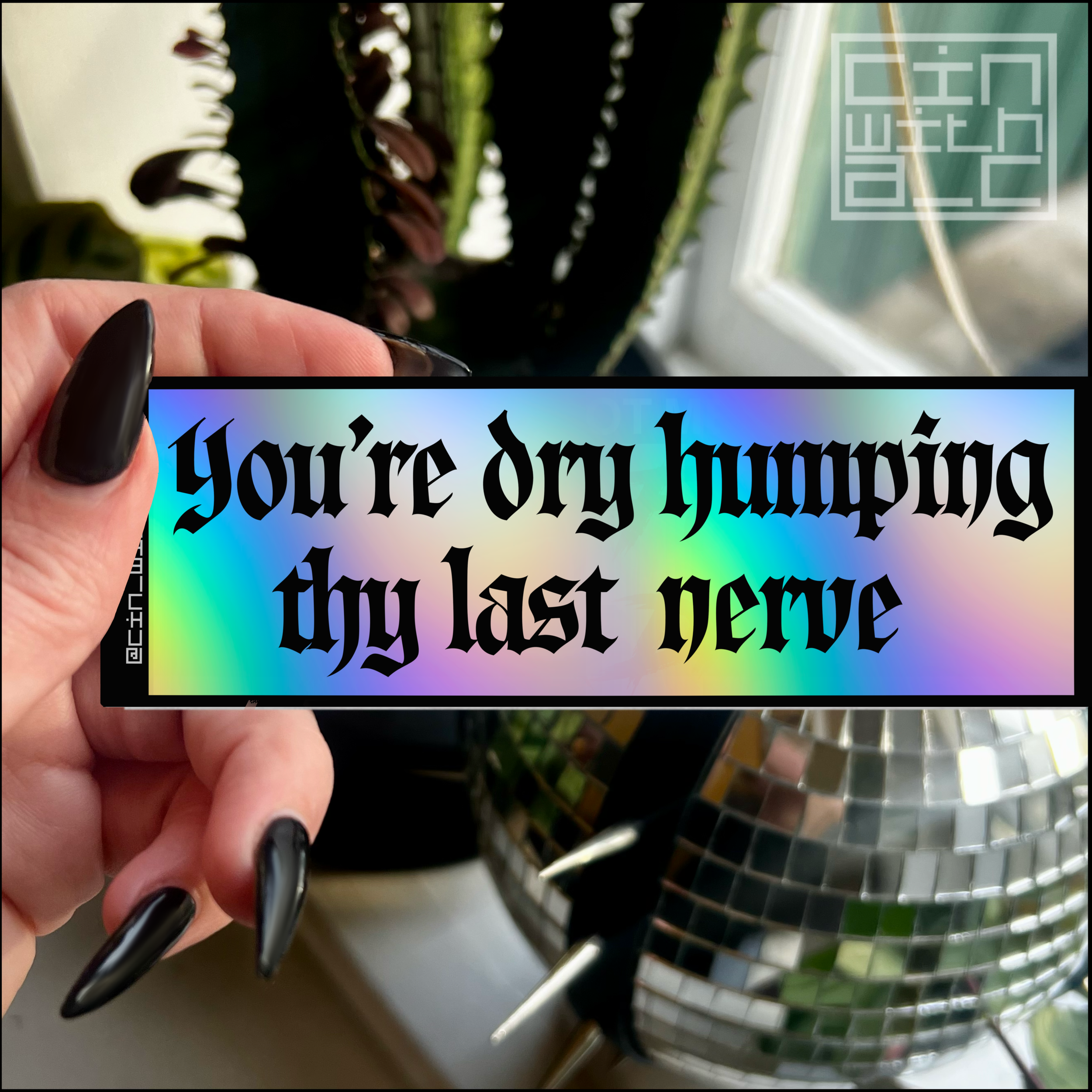IMG_2380.PNG