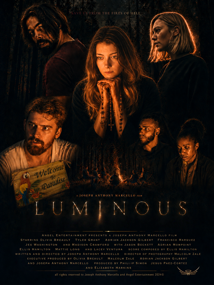 Luminous movie poster