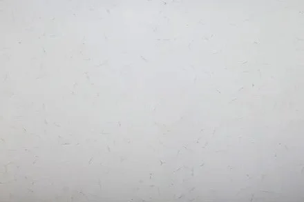 WHITE CARRARA.jpg
