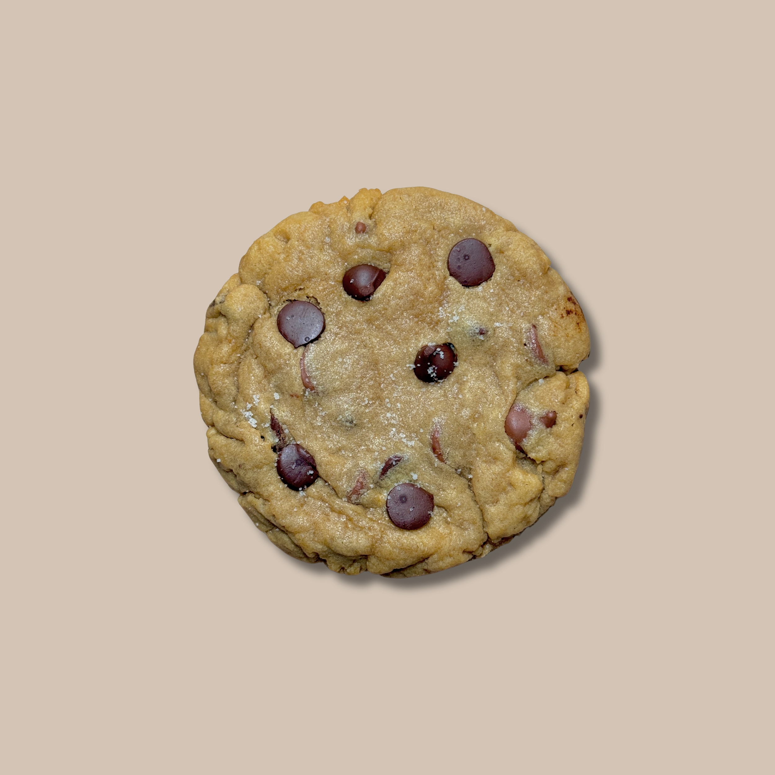 27EBEA21-82B2-4C2E-B56C-723E6C47B9F0.png