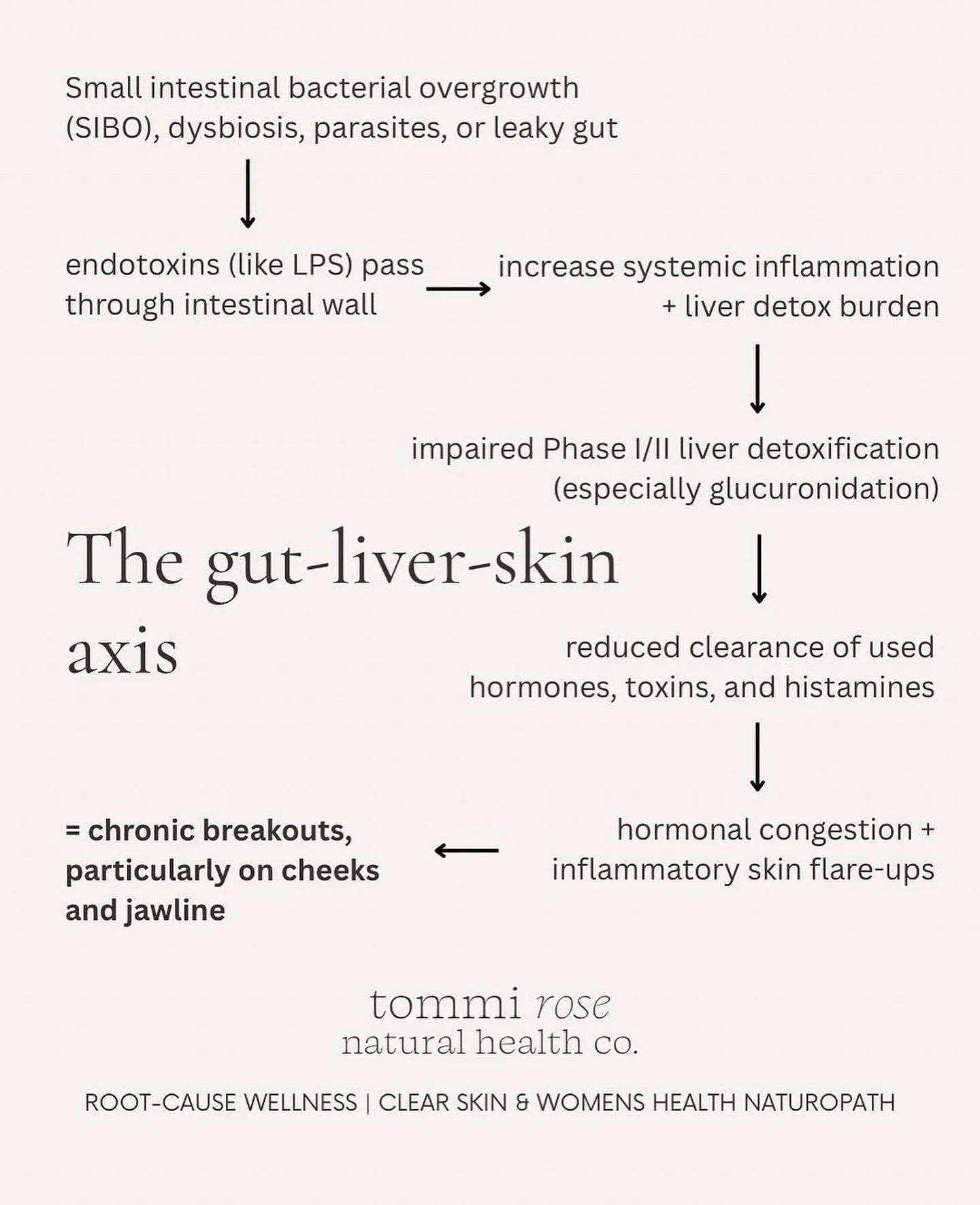 If your skin won&rsquo;t clear no matter what you try, this is the connection you can&rsquo;t ignore.

Your gut, liver, and skin are in constant conversation.
When one is overwhelmed, the others compensate.
And your skin is usually the one that speak
