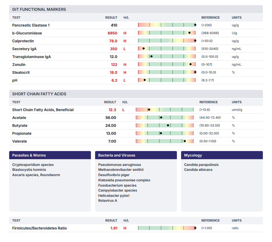 Sample GI-MAP style gut microbiome test report showing functional markers, short chain fatty acids, and pathogen results