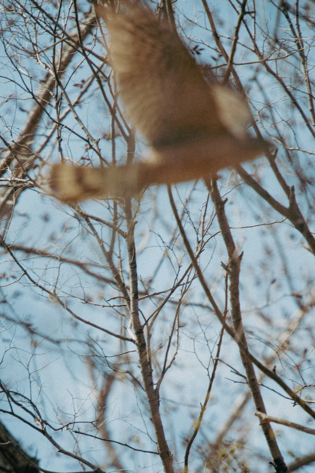 _MG_0786.jpg