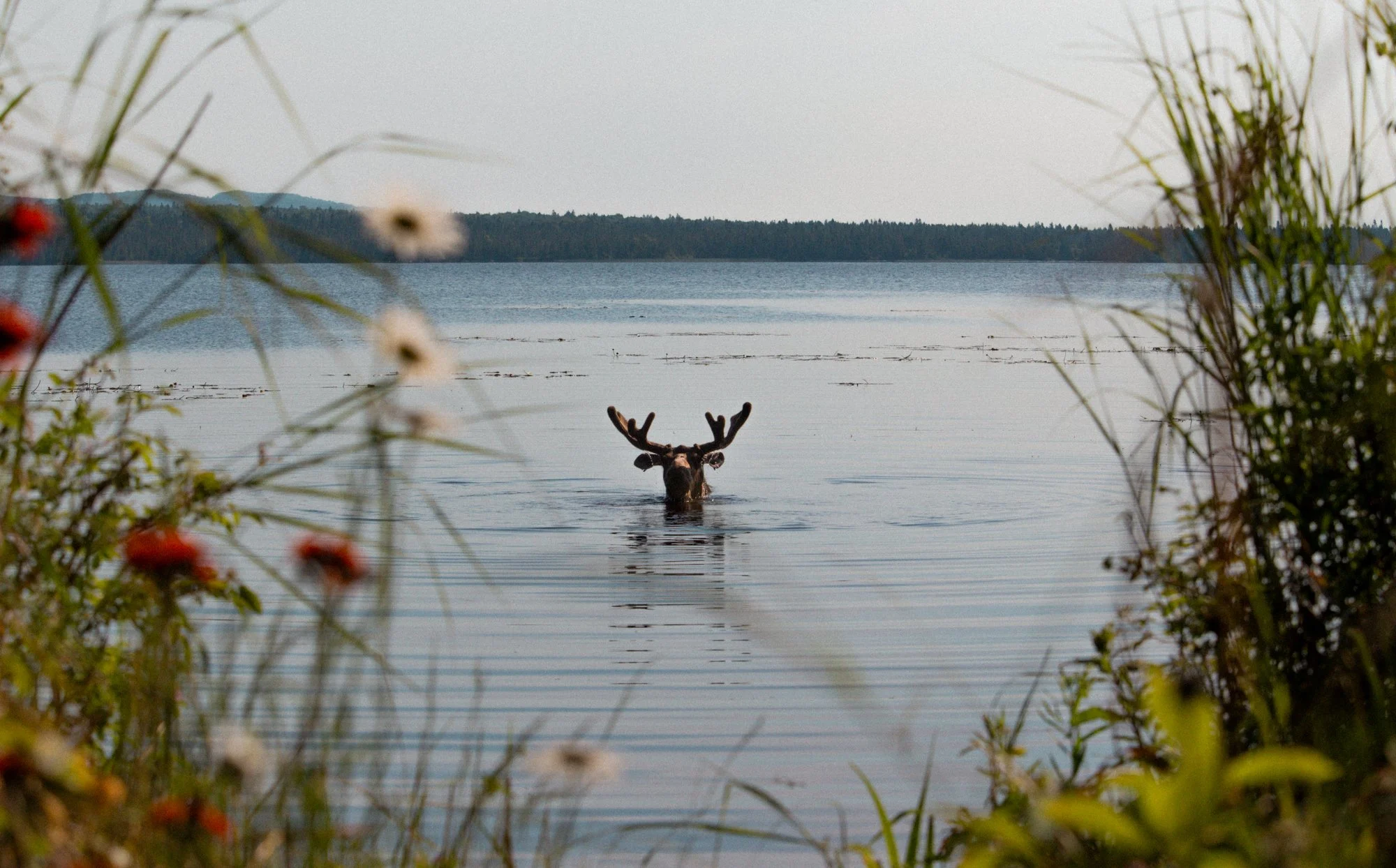 _MG_6057.jpg