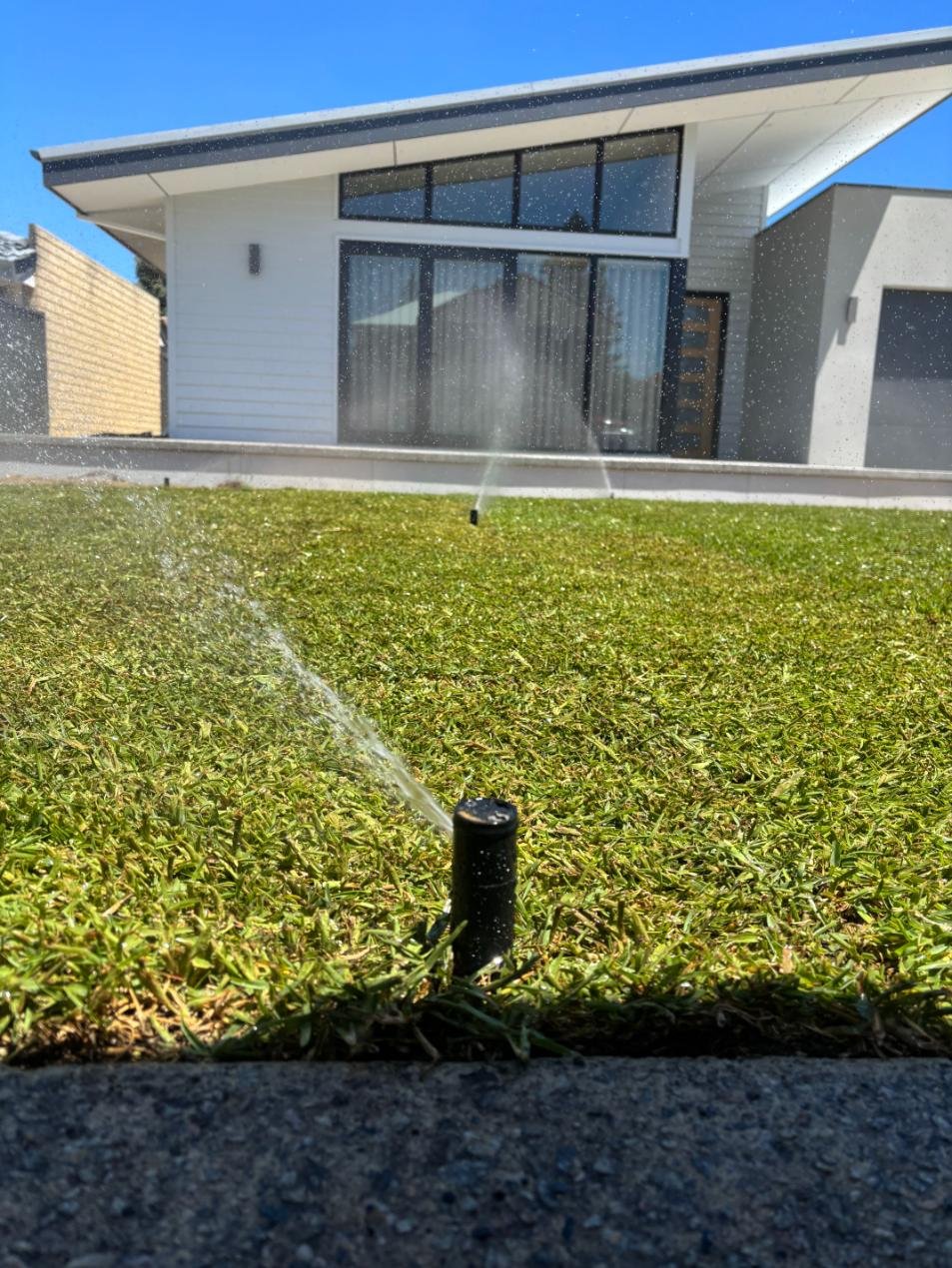 natural lawn, sprinkler, irrigation, reticulation