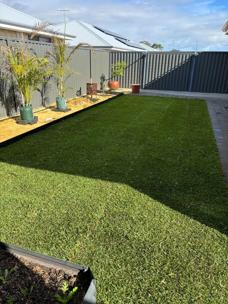 Natural lawn, roll on turf