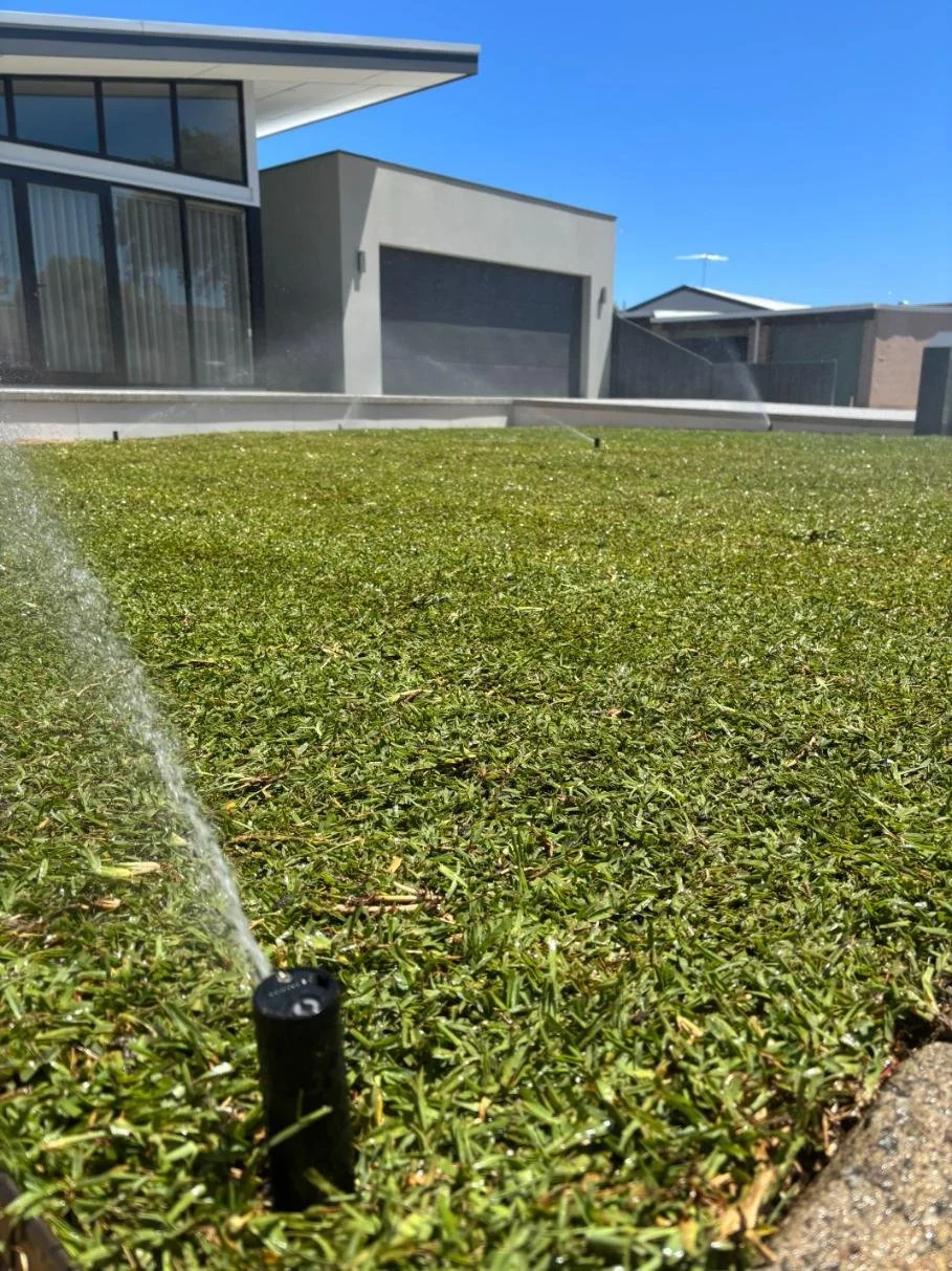 Sprinkler, reticulation, lawn irrigation, pop up sprinkler, watering lawn