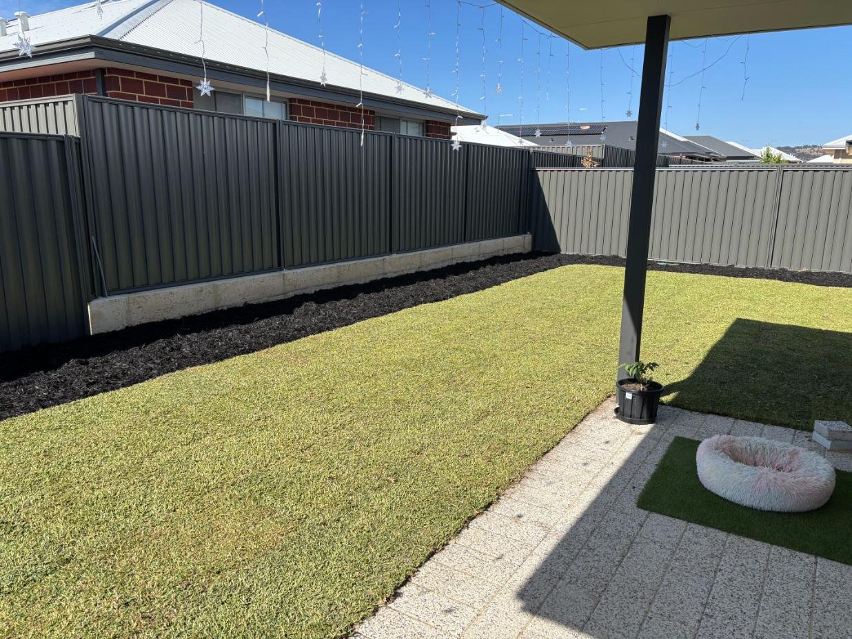 natural lawn, roll on