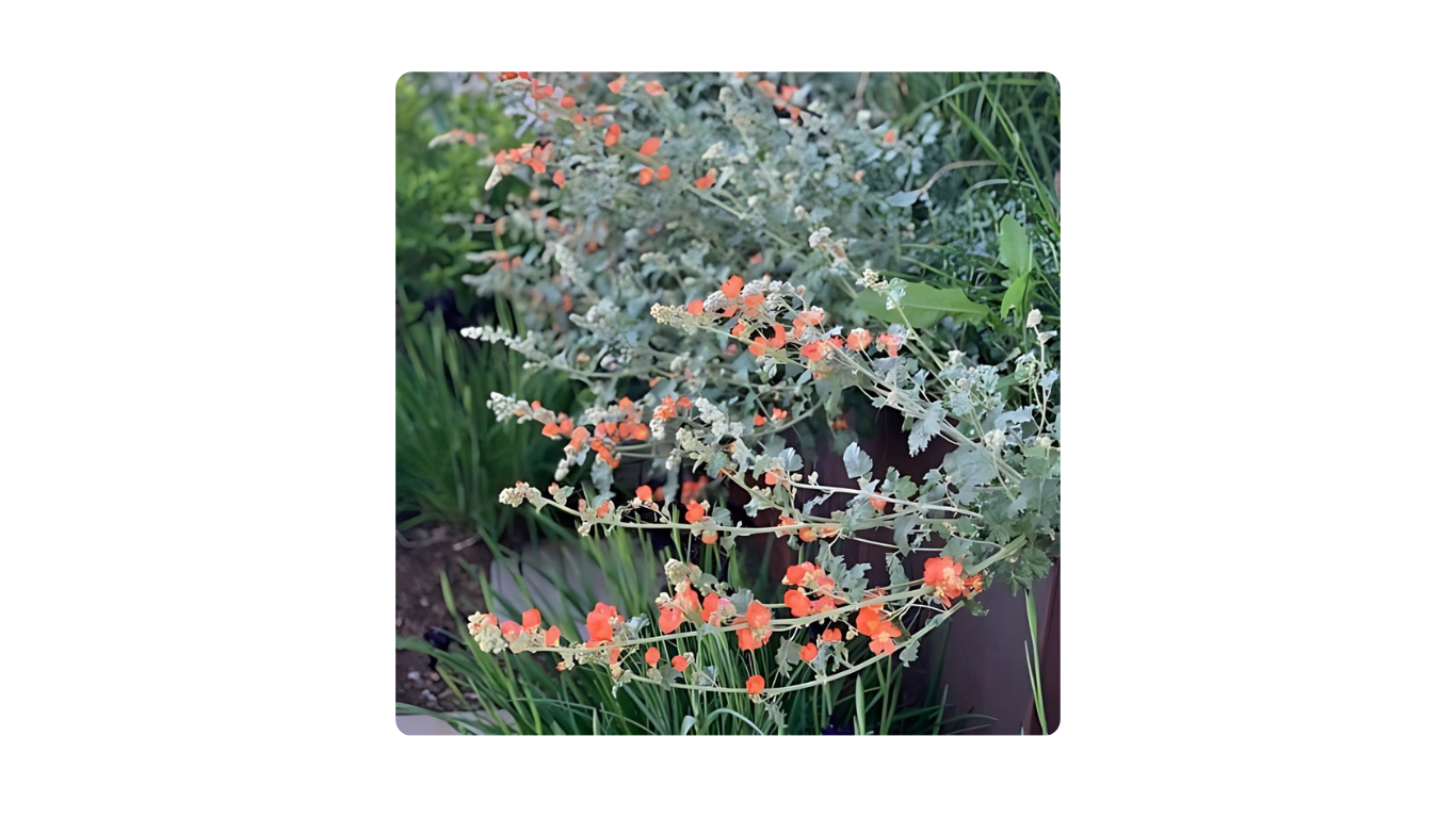 Julie Polaroid Imaging - 2024-05-22T201930.892.png