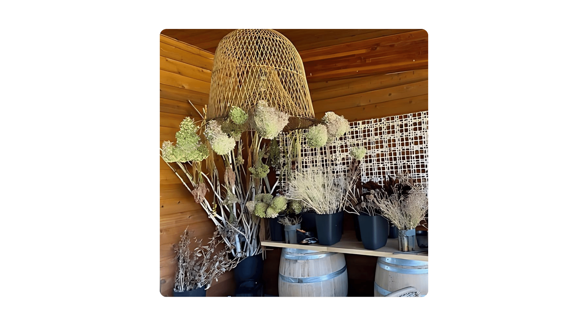 Julie Polaroid Imaging - 2024-05-21T212644.193.png