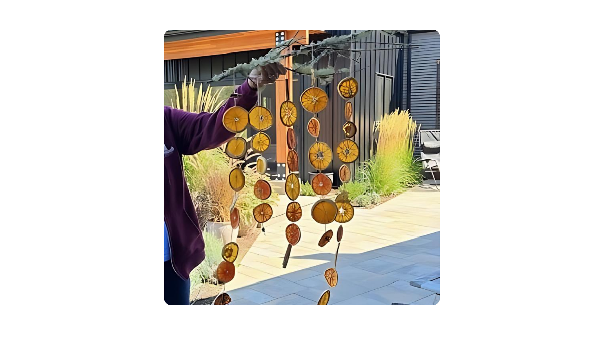 Julie Polaroid Imaging - 2024-05-21T211838.970.png