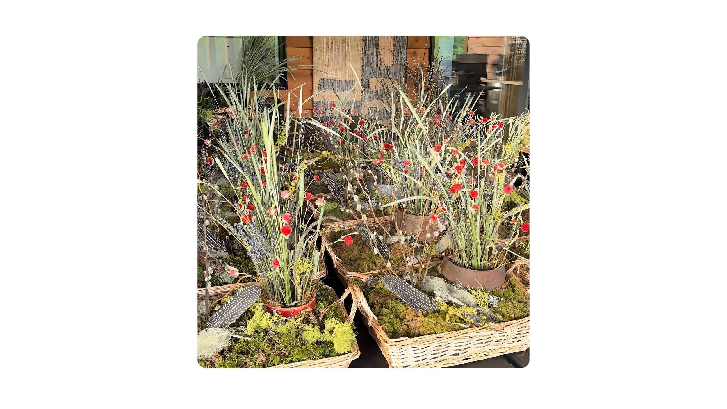 Julie Polaroid Imaging - 2024-05-21T205036.485.png