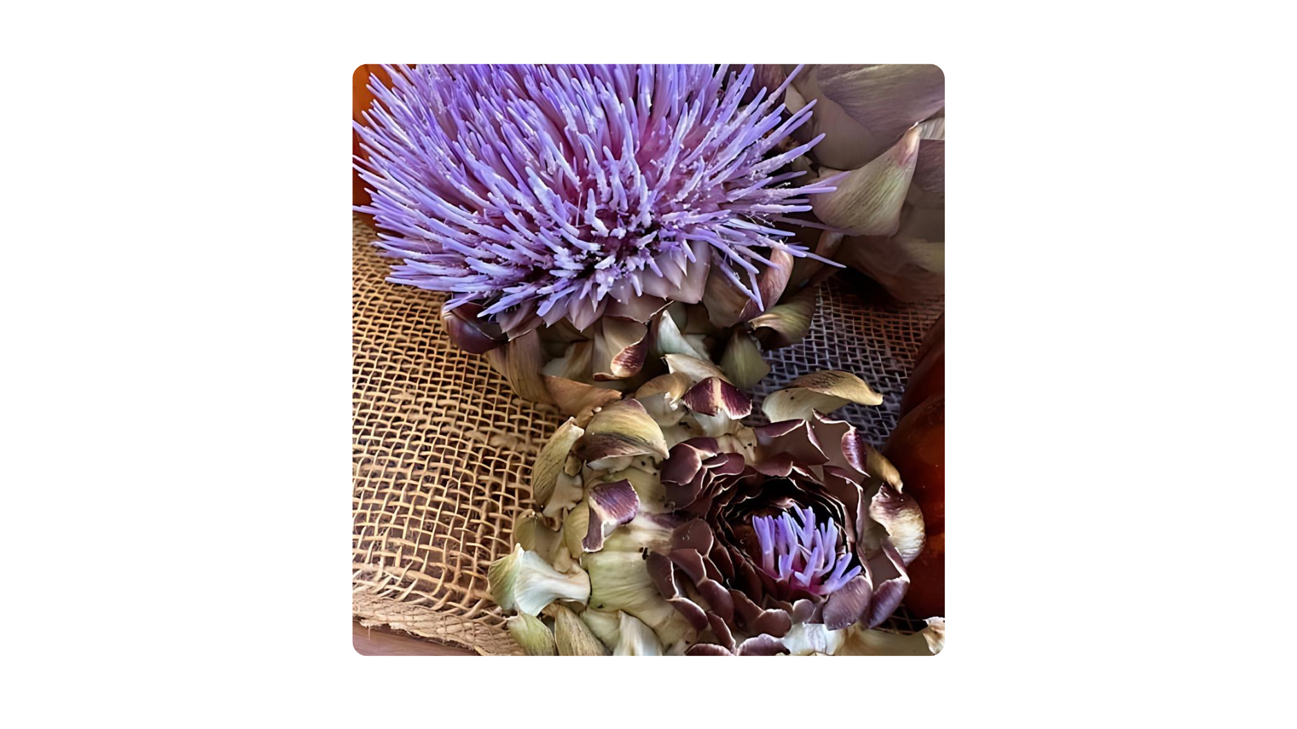 Julie Polaroid Imaging - 2024-05-21T211346.568.png