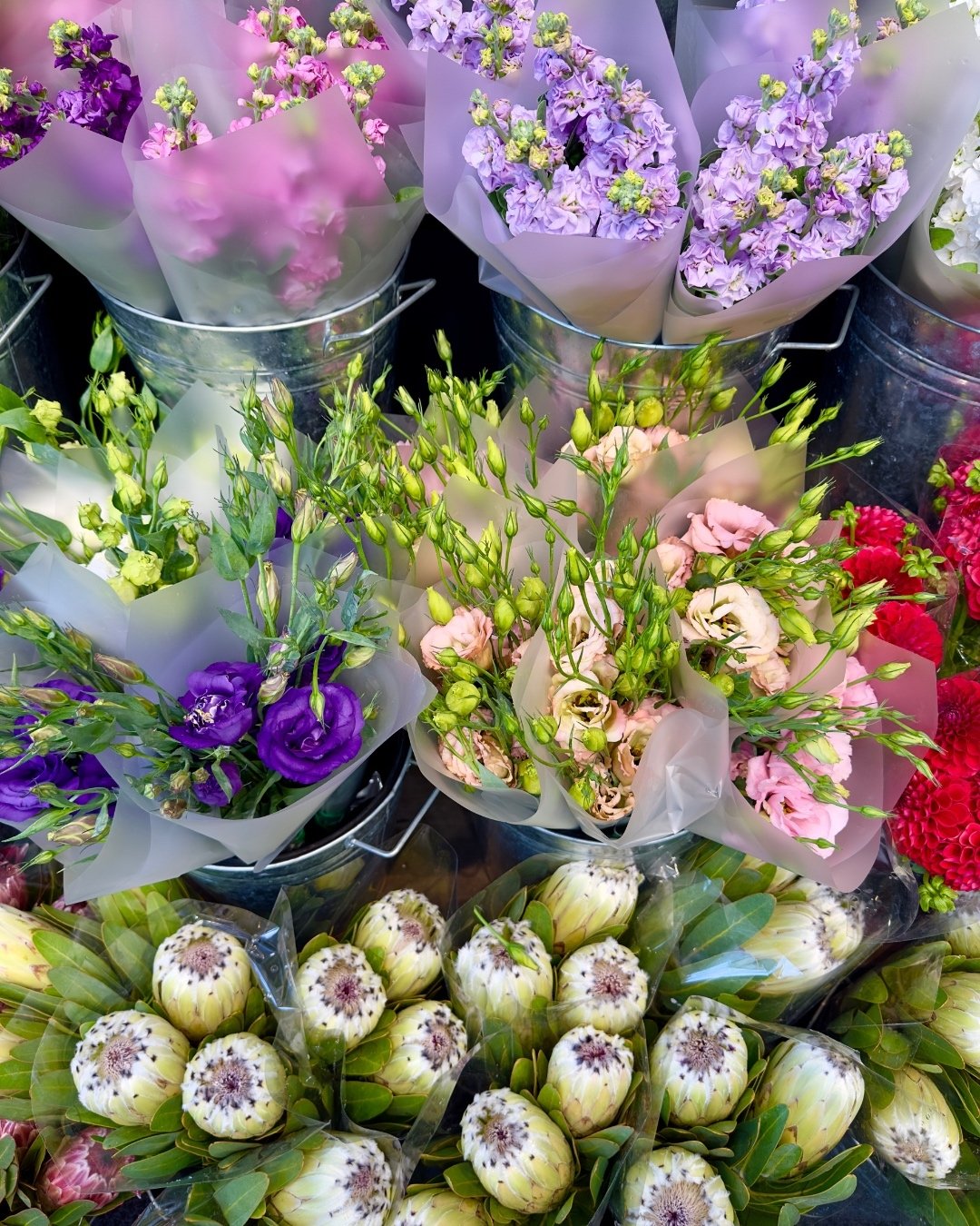 We have bucket loads of your favourites delivered fresh💐

These bunches need a new home to bloom in!

Drop into the Herdsman store or call us on 9387 3414 and one of our awesome florists will assist you!💫

.
.
#PerthHomeDecor #FloristPerth #WAFlora