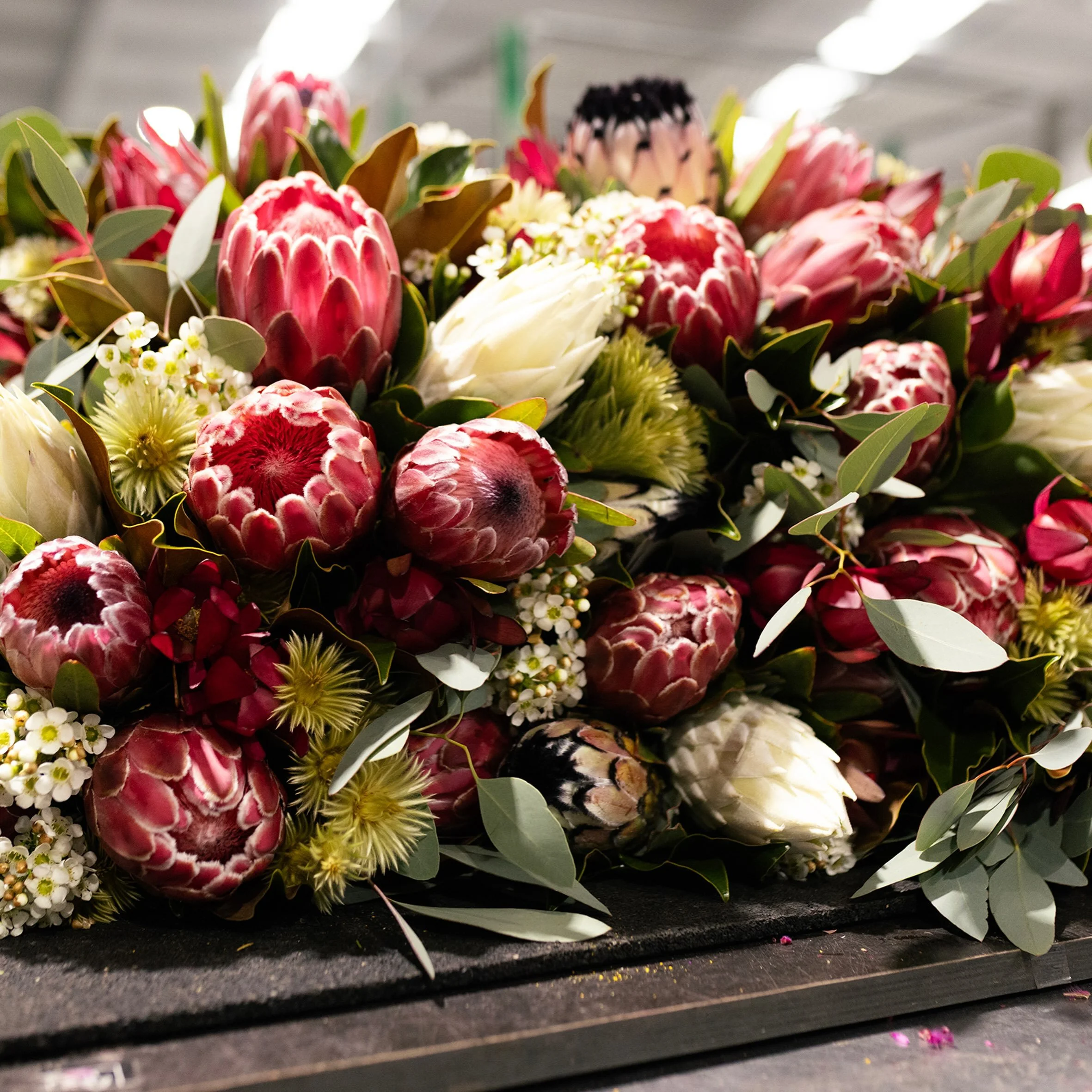 King Protea season is here and we are loving all these earthy winter tones. 

Did you know - Many of our most loved flowers, including Proteas and Leucadendrons, originated in South Africa but thrive in Western Australia&rsquo;s unique climate. 

Vis