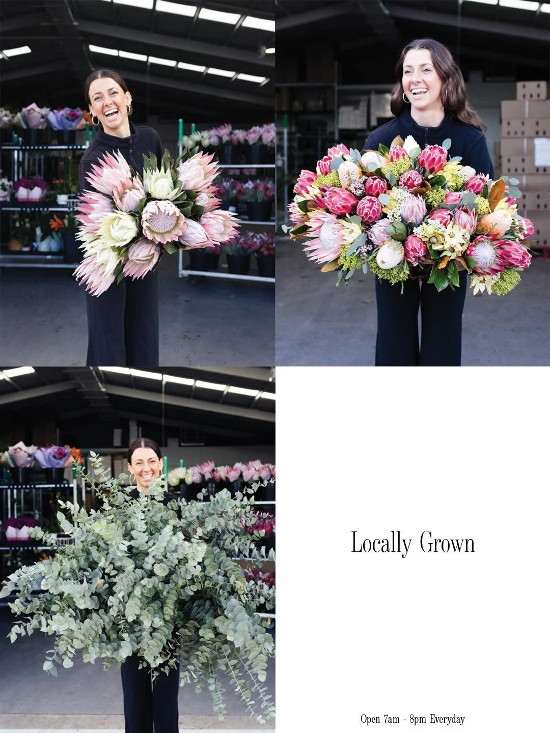 Locally grown and delivered to our store daily. 
.
#perthflorist #flowermarket #perth #proteas #locallygrown