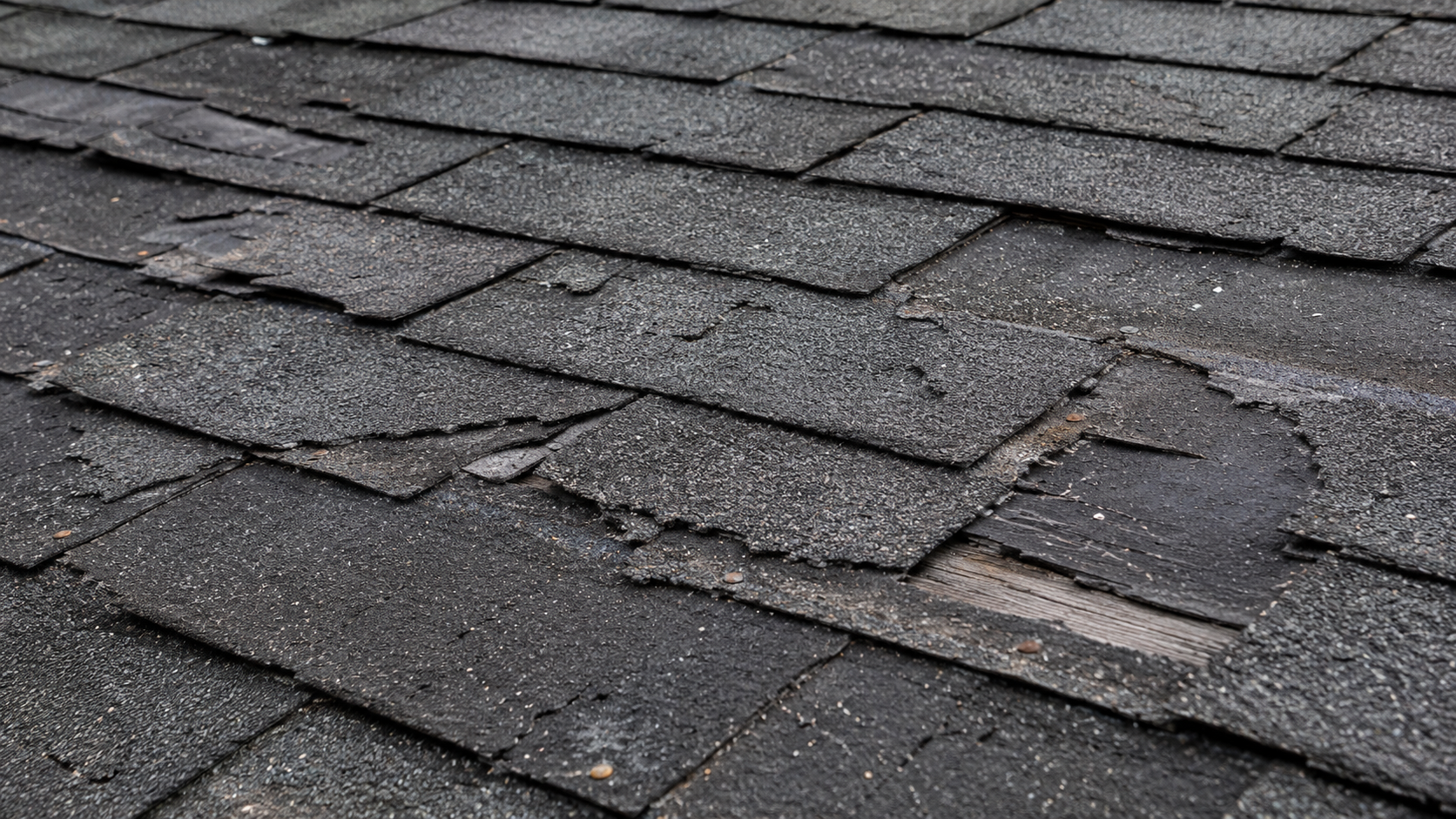 8 Signs You Need a New Roof