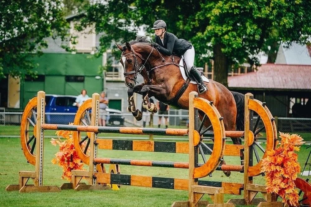 sold-horses-webb-show-jumping