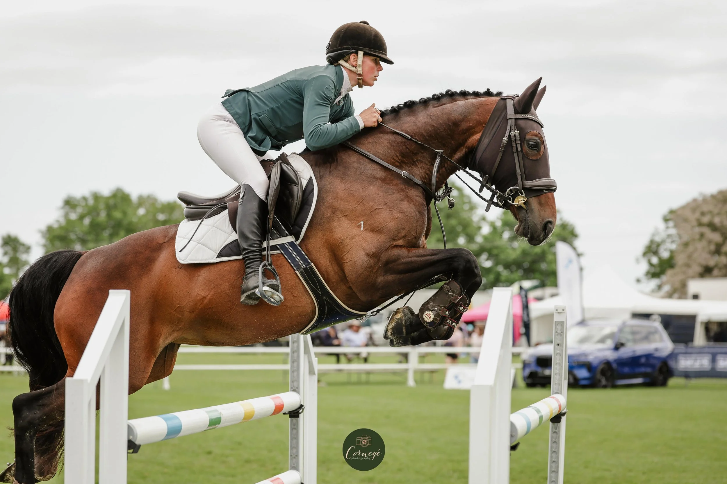 Competition Clips Competition Horses — Webb Show Jumping