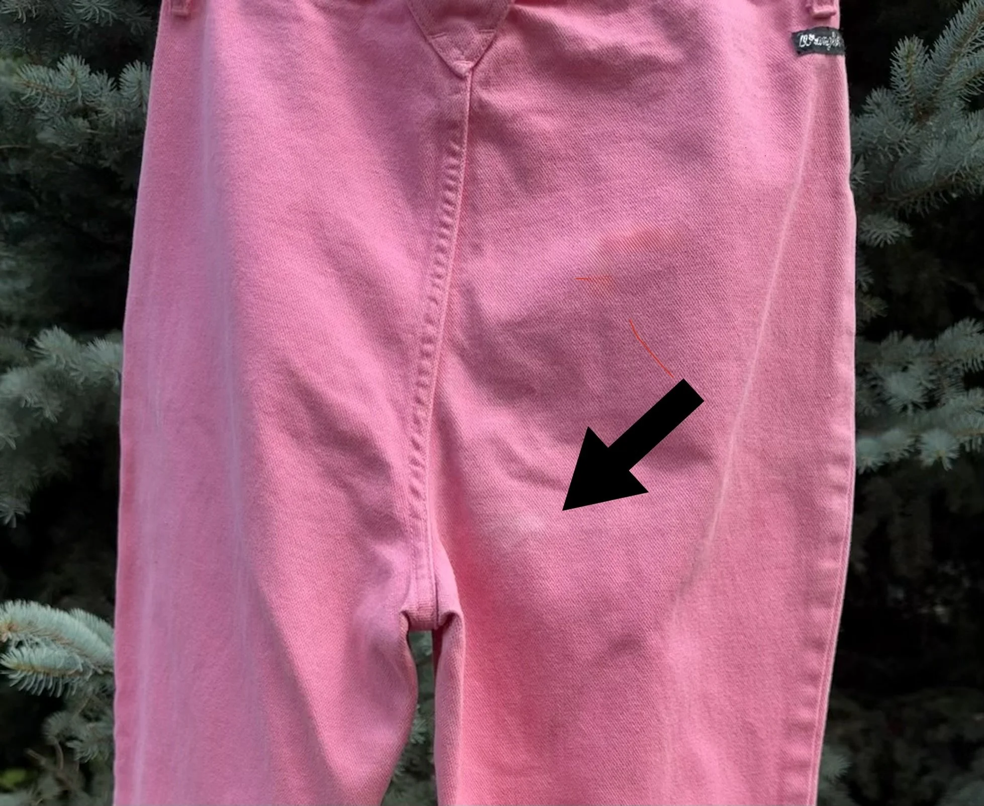IMG_8855.JPEG