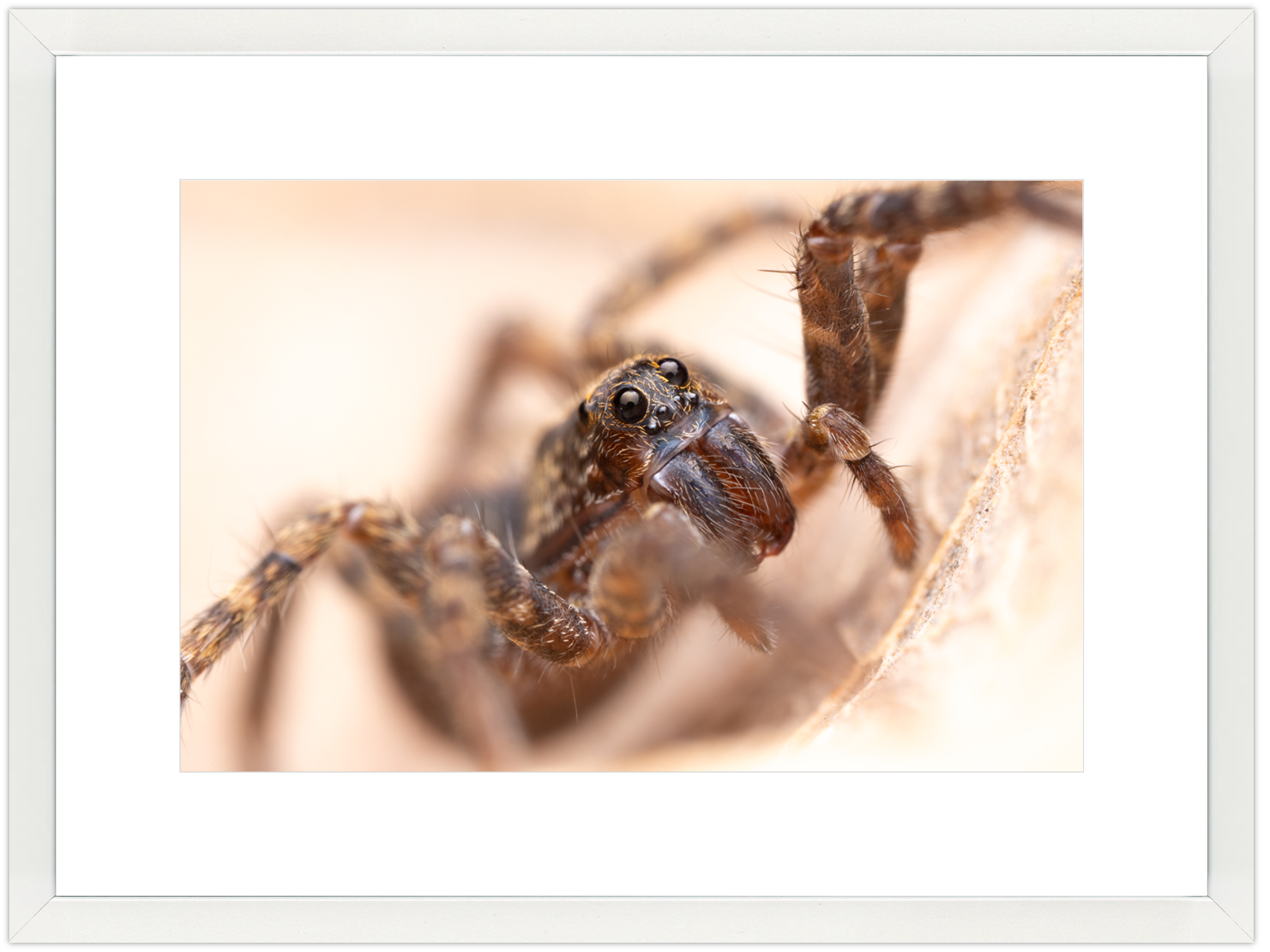 windowwhite10x15.png