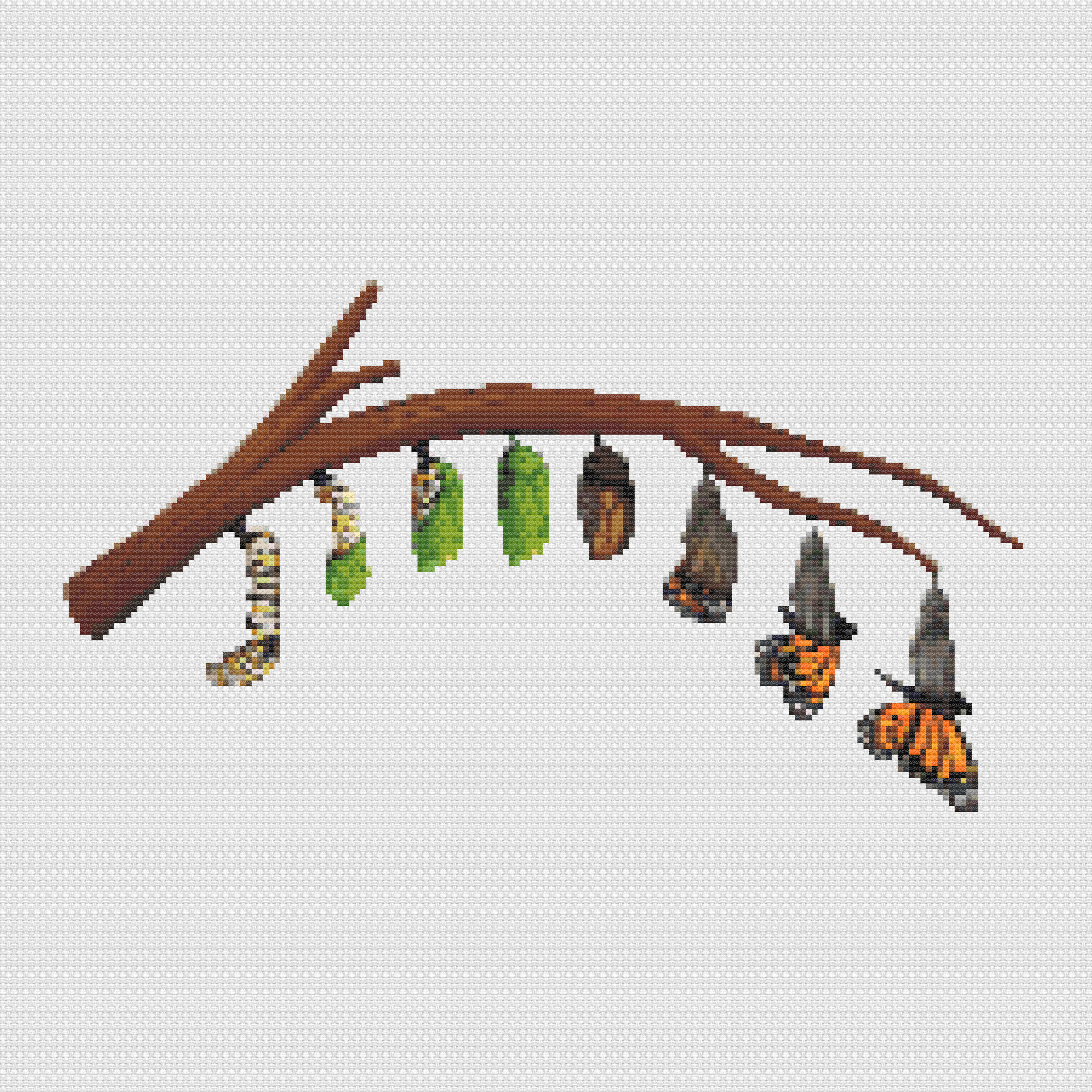 Butterfly Metamorphosis Pattern mockup.png