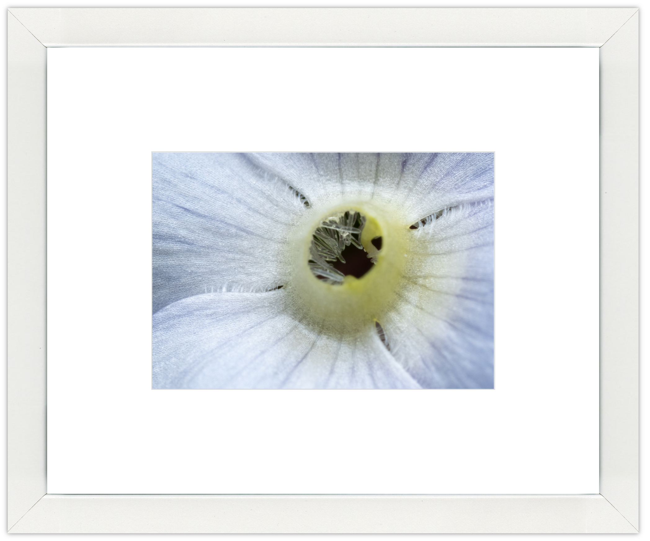 windowwhite5x7.png