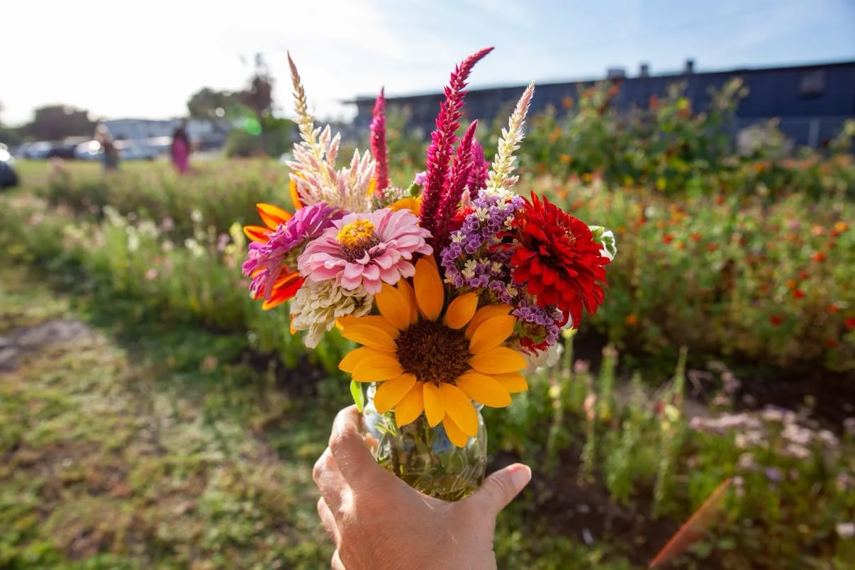 00002 Padme Flower Farm.JPG