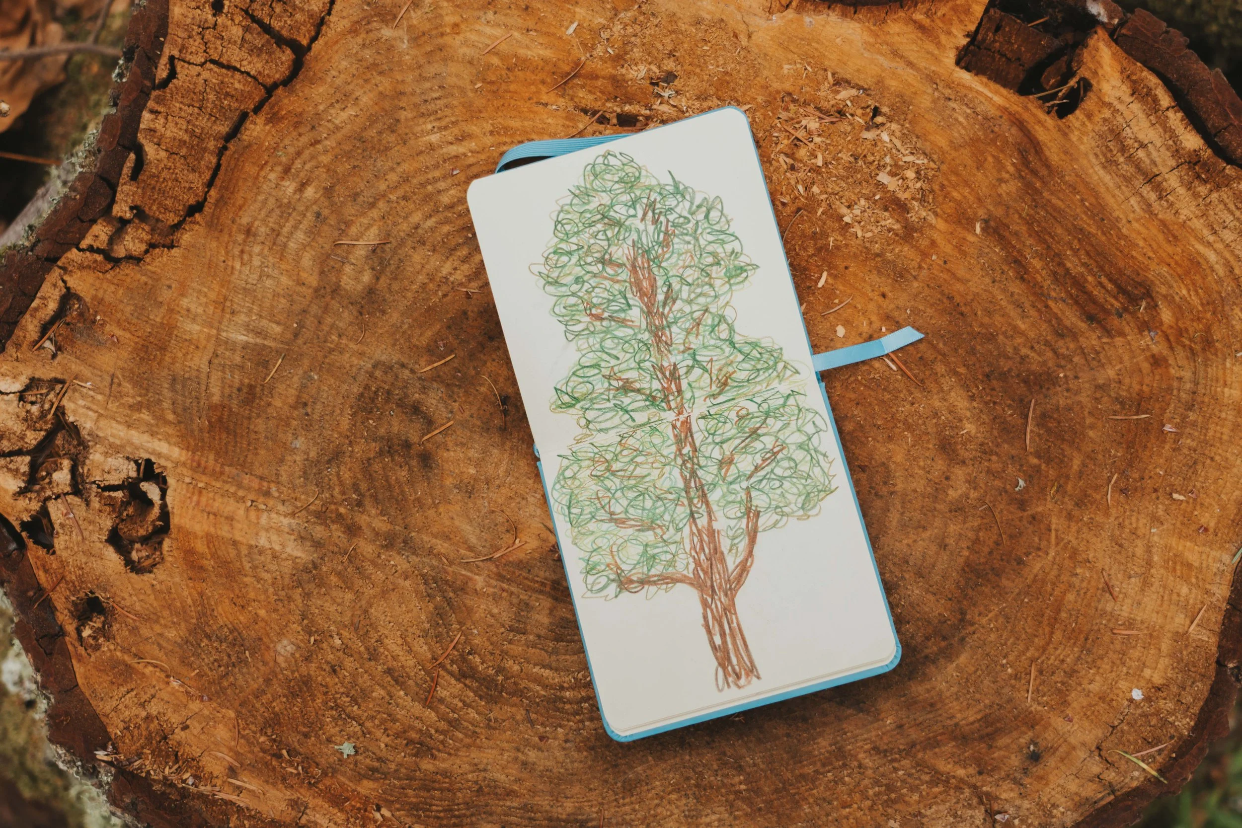 0014 AH Seattle 2025.jpg